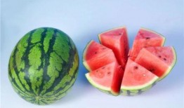 新乐吃瓜视频免费观看大全,一网打尽热门瓜料，畅享娱乐盛宴